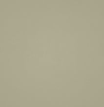 Load image into Gallery viewer, Radical No 032: Medium Beige
